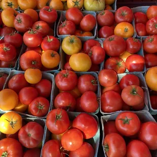 Fresh tomatoes!