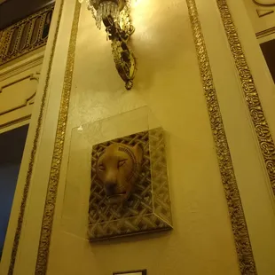 Lion king memorabilia