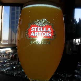 Shock top... Stella Artois glass