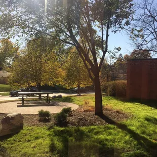 Too beautiful of a day not to get outside!