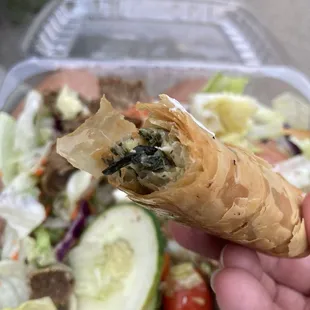 Greek salad and spanakopita