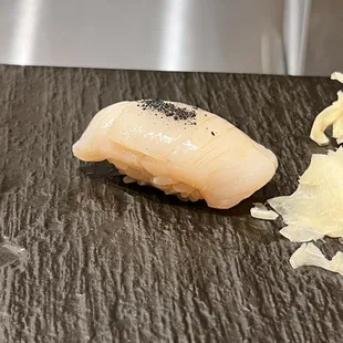 Scallop