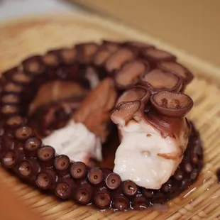 an octopus in a bowl