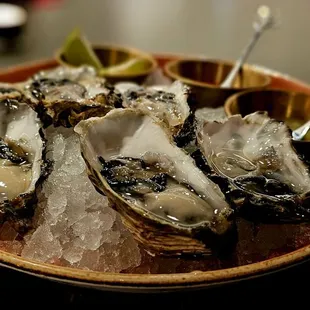 half dozen oysters on the half shell