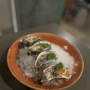 Omakase oyster set