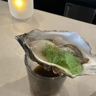 Oyster Shooter