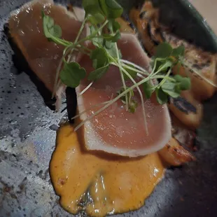 Albacore