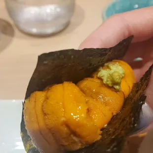 Hokkaido Uni