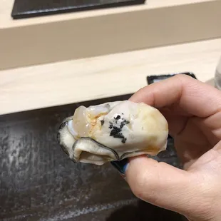 Raw Oyster Sushi