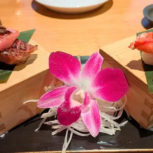 sashimi, food, sushi, sushi and sashimi