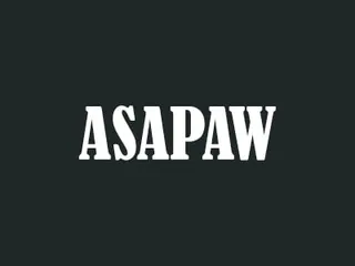 ASAP Auto Glass