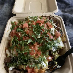 Carne asada fries are perfect every time!! Filled to the brim and loaded with topping!