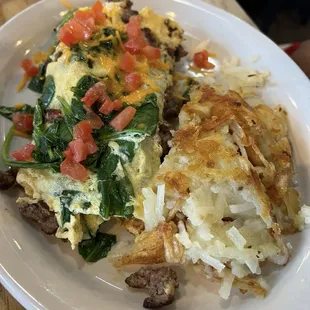 Savory Steak Omelette