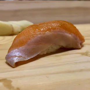 Ocean Trout