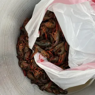 We had to throw away 3/4 of the crawfish ordered.