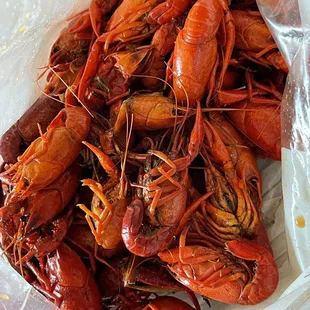 Crawfish