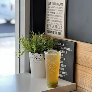 KIWI citrus fruit tea