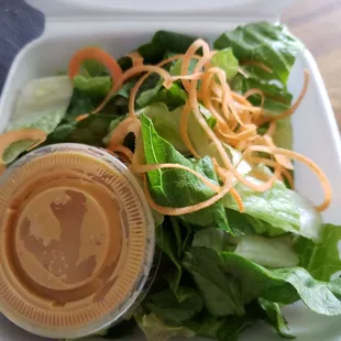 Fresh Garden Salad