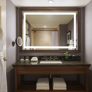 Queen Guestroom Bathroom