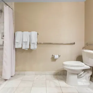 The ADA Bathroom at Omni Royal Orleans Hotel