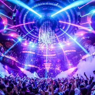 The chandelier is amazing. I've never seen anything like it!