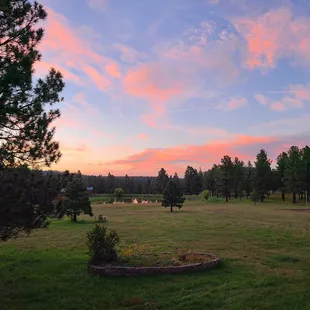 View from Patio