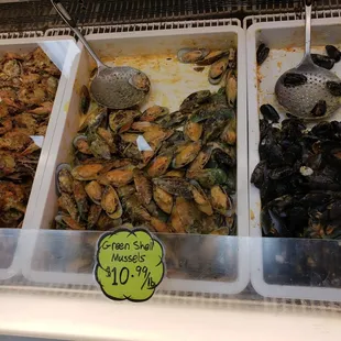 Some of the largest green mussels, I&apos;ve ever seen...