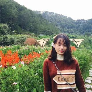 Linh V.