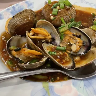Clams with black bean sauce, again