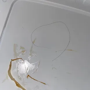 disgusting hair found in my food.