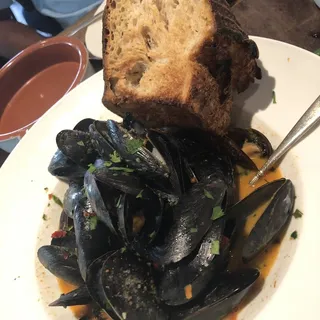 Mussels