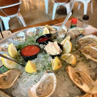 Dozen oysters