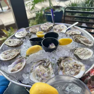 Gulf oysters