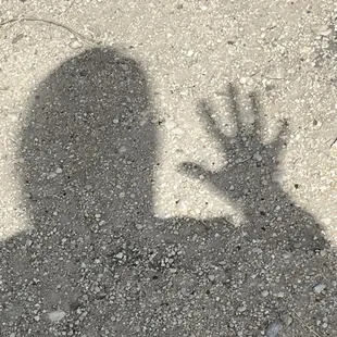 a shadow of a person holding a frisbee