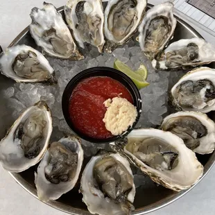 Live Oysters