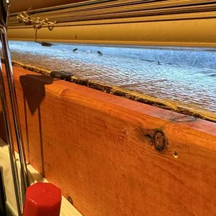 The window sill that we sat next to with dead flies and thick dust.