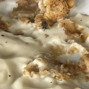 Gravy on this