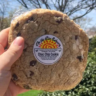 Chocolate Chip Cookie