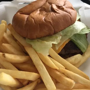 Burger with fries