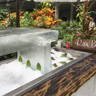 Large format ice bar for weddings and events