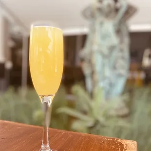 Mimosa Sunday&apos;s