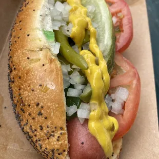 Chicago dog