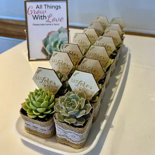Bridal shower favors