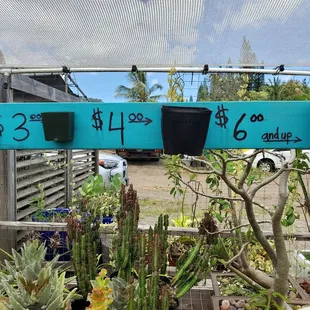 The prices for the plants..........