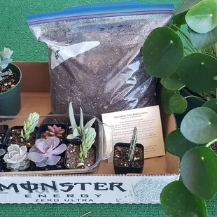 All my special goodies!! So happy!