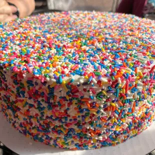 SPRINKLE CAKE! This was a dream come true.