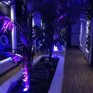 The beautiful hallway that adjoins the escape rooms...