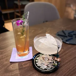 spring in korean place glow seoul