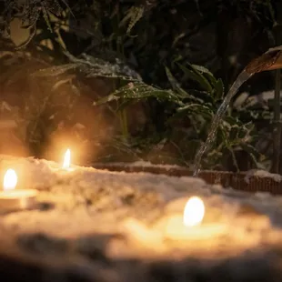 oysters and mussels, outside