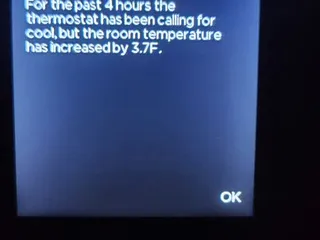 Yellow Bird Services